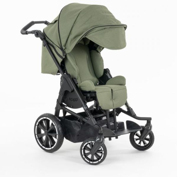 BINGO Evolution Trendline-3